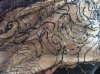 lace.jpeg lace.jpeg