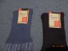 DSCN1529.JPG