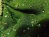 20171028_175428.jpg