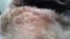 20190106_152735.jpg 20190106_152735.jpg