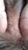 20190106_152919.jpg 20190106_152919.jpg