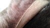 20190106_153427.jpg 20190106_153427.jpg