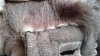 20190106_155237.jpg 20190106_155237.jpg