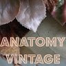 Anatomy Vintage